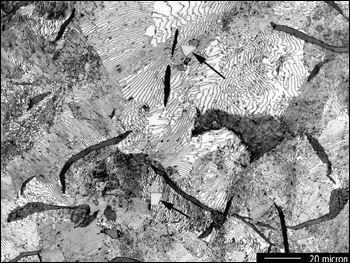 Representative Optical Microscope Image of Alloy Carbides in Iron G3, Nital Etch, 700X - photo