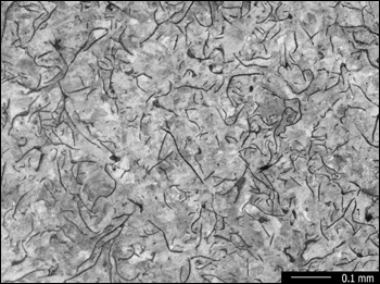 Representative Microstructure of Iron G2, Nital Etch, 100X
