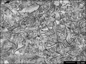 Representative Microstructure of Iron G1, Nital Etch, 100X